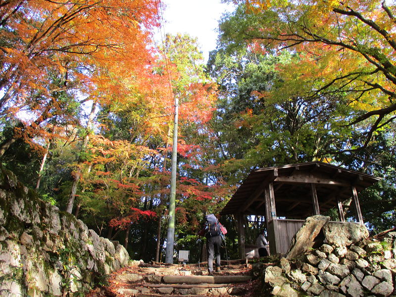 紅葉が始まっていました