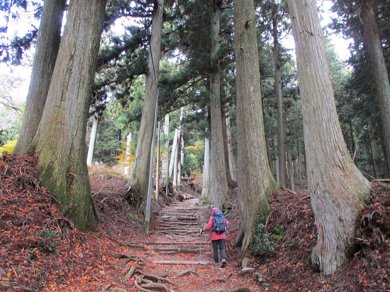 樒小屋から黒門へ向かう