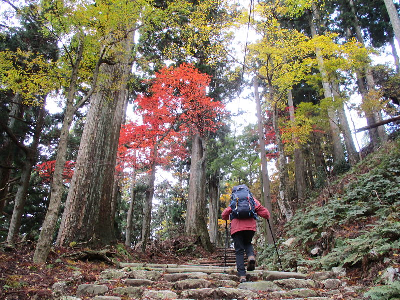 黒門～愛宕神社