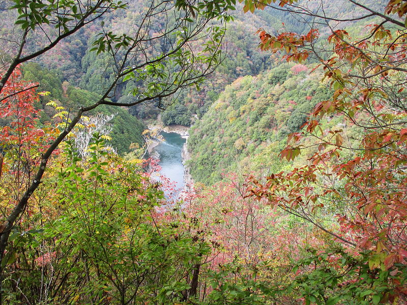 嵐山･高雄パークウェイ沿いの悪路にて