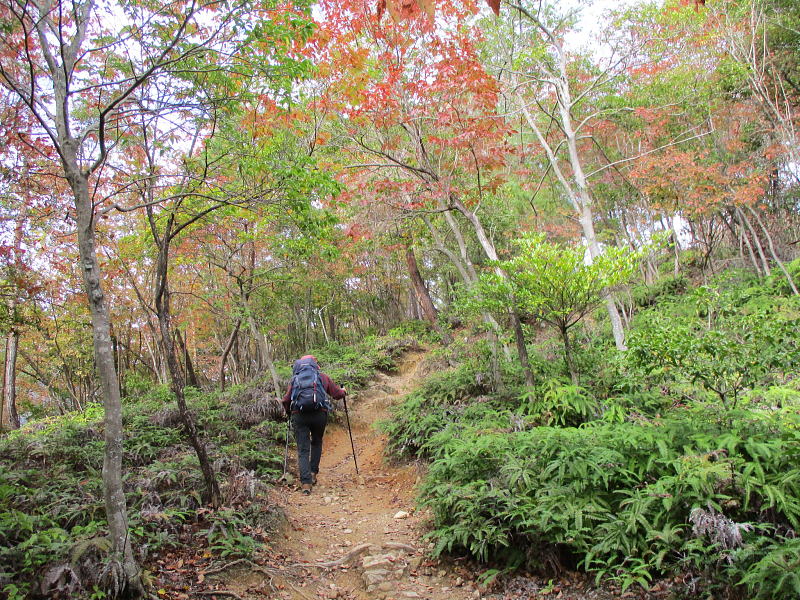 木々が色付き始めていました