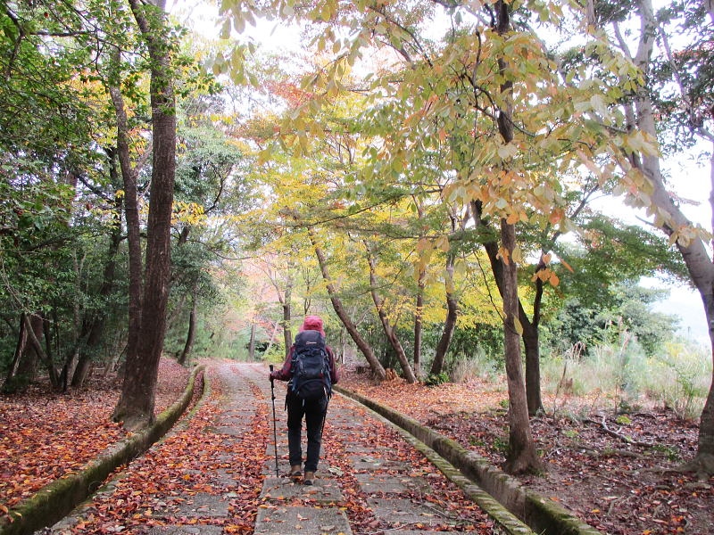 六丁峠へ向かって下山