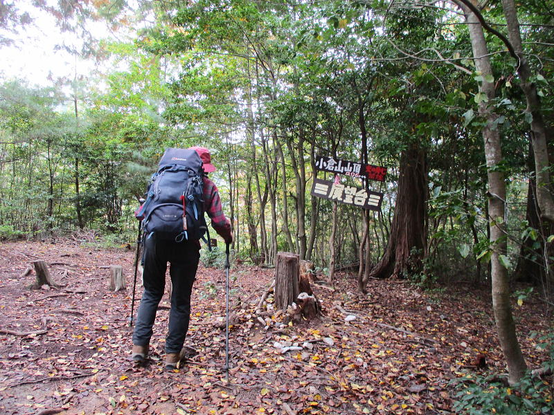樹林に囲まれて展望は無し