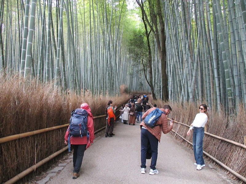 外人観光客が多い