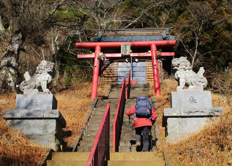 こじんまりとした神社です